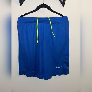 Nike Men's Blue Shorts.